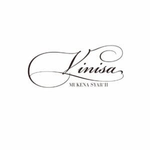 logo Vinisa